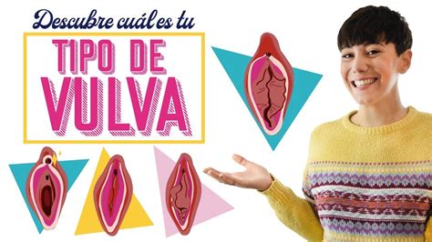 fotos vaginas|476 fotos de stock e imagens de alta resolução de Vulva